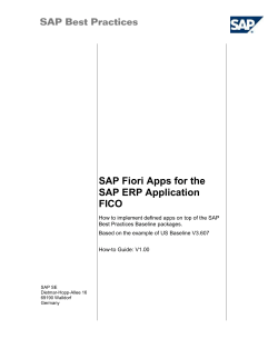2 Overview Matrix for FICO Fiori Apps