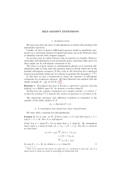 Self-Adjoint Extensions