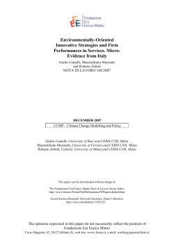 Environmentally-Oriented Innovative Strategies and Firm