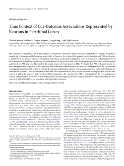 Time Context of Cue-Outcome Associations Represented by
