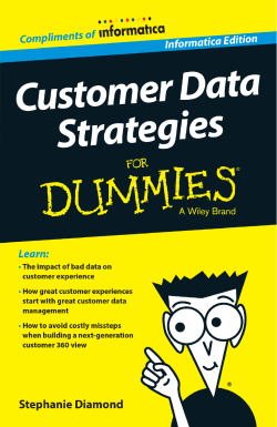 Customer Data Strategies For Dummies
