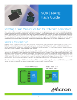 NOR NAND Flash Guide - Micron Technology, Inc.