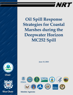 Oil Spill Response Strategies for Coastal Marshes during the