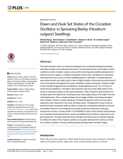 Dawn and Dusk Set States of the Circadian Oscillator in