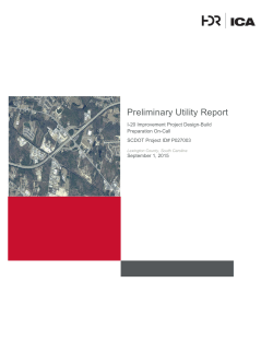Preliminary Utility Report - South Carolina Department of