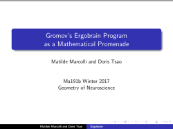 Gromov`s Ergobrain Program as a Mathematical Promenade