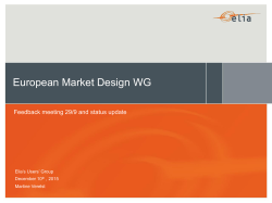 European Market Design WG