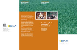 Considering Trade Policies for Liquid Biofuels