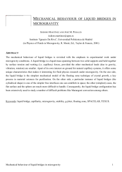 Physics of Fluids in Microgravity - Universidad Polit&eacute;cnica de Madrid