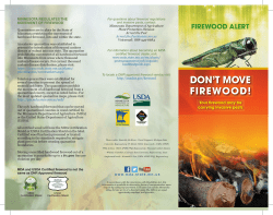 Firewood Alert- Don`t move firewood brochure