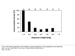 Life-history plasticity in the butterfly Lycaena hippothoe: local