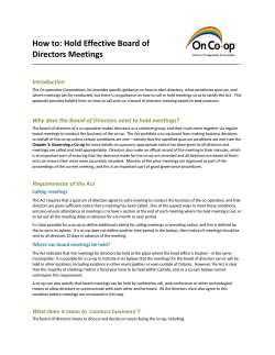 Hold Effective Board of Directors Meetings