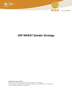 CRP WHEAT Gender Strategy - CGIAR Research Program on WHEAT