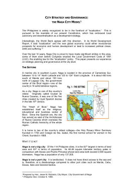 city strategy and governance