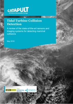 Tidal Turbine Collision Detection