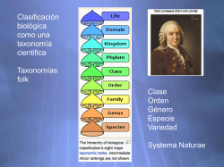 clase 4 feb - Curso de Sistem&aacute;tica IB 2010