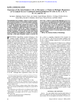 Function of the Interleukin-2 (IL-2) Receptor y-Chain