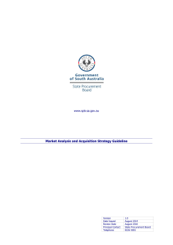 Market Analysis and Acquisition Strategy Guideline