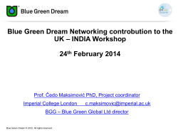 Blue Green Dream Networking contribution to the UK