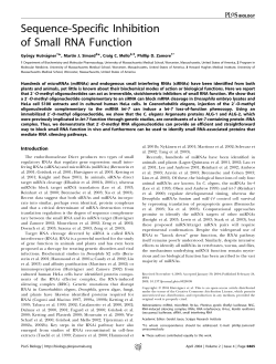 Sequence-Specific Inhibition of Small RNA Function