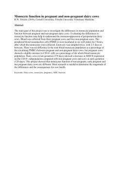 Monocyte function in pregnant and non