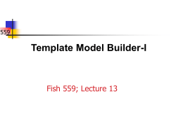 Presentation Template