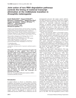 Joint action of two RNA degradation pathways controls the timing of