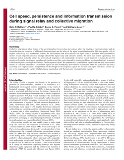 Cell speed, persistence and information transmission during signal