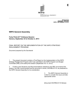 Final Report on the Implementation of the WIPO Strategic