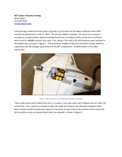 BFF Center of Gravity Report