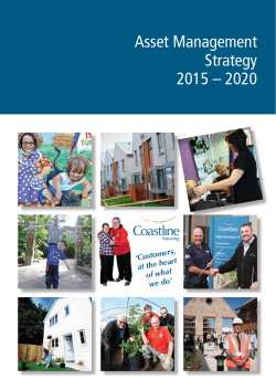 Asset Management Strategy