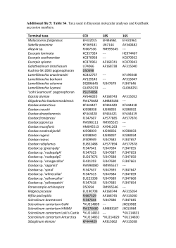 Additional file 5: Table S4. Taxa used in Bayesian molecular