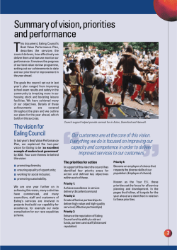 Summary of vision, priorities and performance
