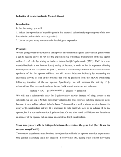 Induction of b-galactosidase in Escherichia coli Introduction: In this