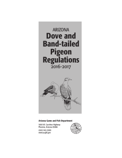 Dove and Band-tailed Pigeon Regulations