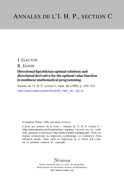Directional lipschitzian optimal solutions and directional