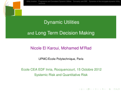 Dynamic Utilities [3mm] and Long Term Decision Making