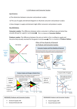 1.2.8 JM Producer and Consumer Surplus488.85 KB
