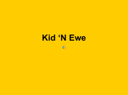 Kid `n Ewe - technoability.net