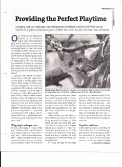 Providing the Perfect Playtime