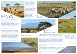 lake nukuru amboseli national park maasai mara game reserve