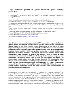 Large historical growth in global terrestrial gross primary