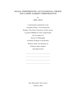 social preferences, occupational choice and labor market