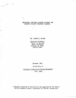 DEVELOPING "STRATEGIC SUPPORT SYSTEMS"