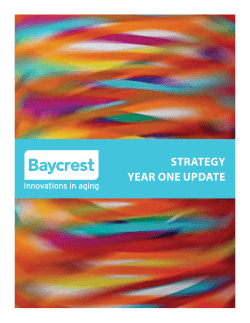 Strategy year one update