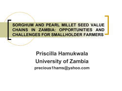 SORGHUM AND PEARL MILLET SEED VALUE CHAINS IN ZAMBIA