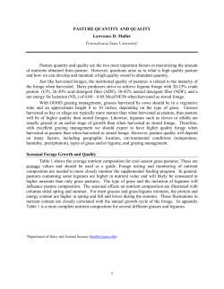 PASTURE QUANTITY AND QUALITY
