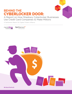 Behind the Cyberlocker Door