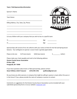 Team / Field Sponsorship Information Sponsor`s Name: