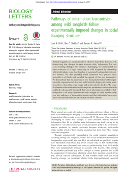 Pathways of information transmission among wild songbirds follow